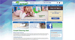 Desktop Screenshot of ecocarpetutah.com